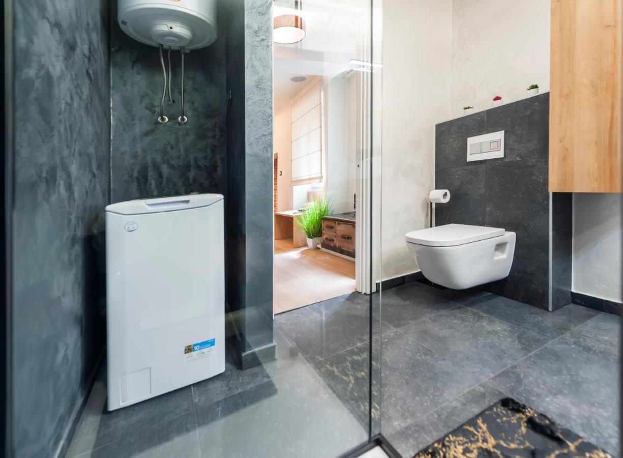 Dc II Downtown Apartment Ровинь Экстерьер фото